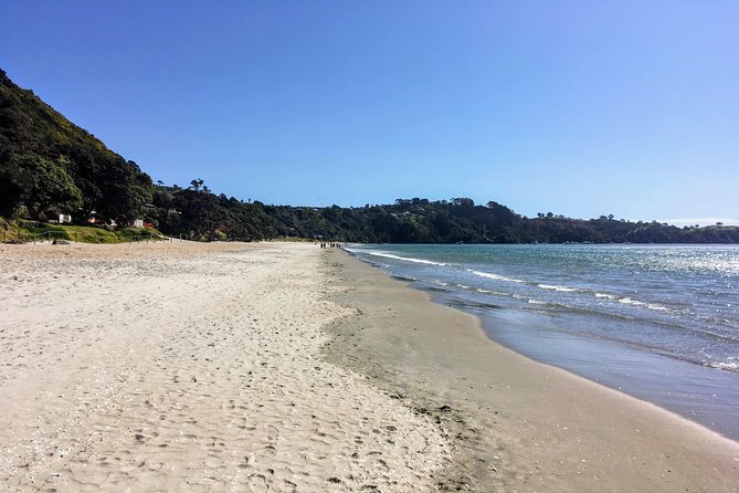 Waiheke Island Experience Tour - Comfort and Logistics That Actually Affect Your Day