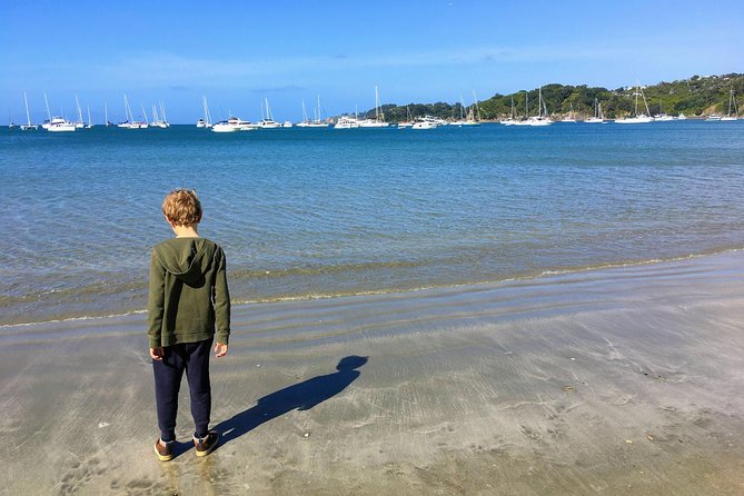 Waiheke Island Experience Tour - Who This Tour Fits Best