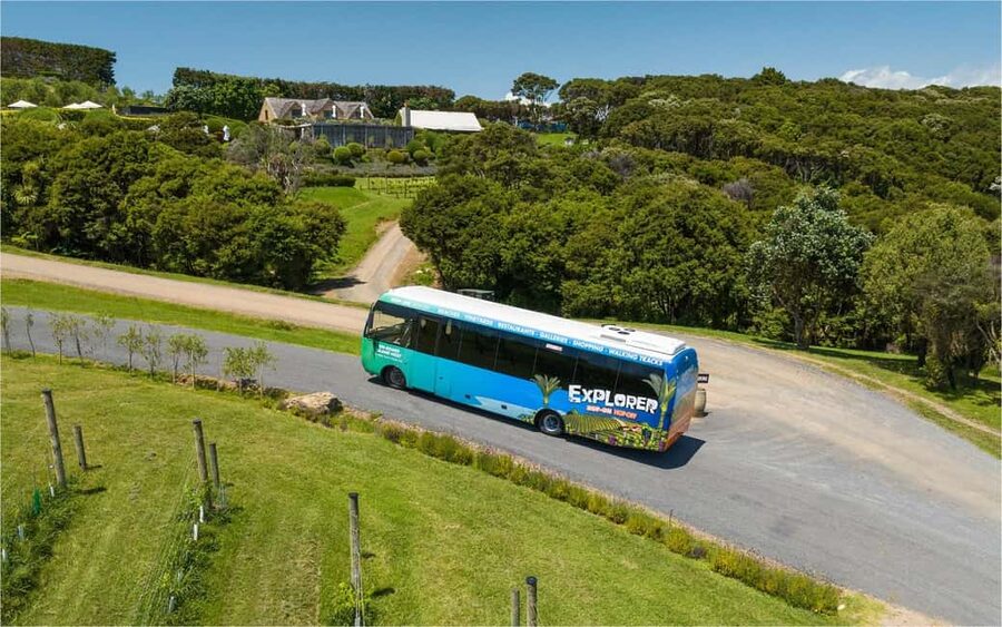Waiheke Island: Ferry & Hop-On Hop-Off Explorer Bus Tickets - Price and value: is $59 worth it for Waiheke?