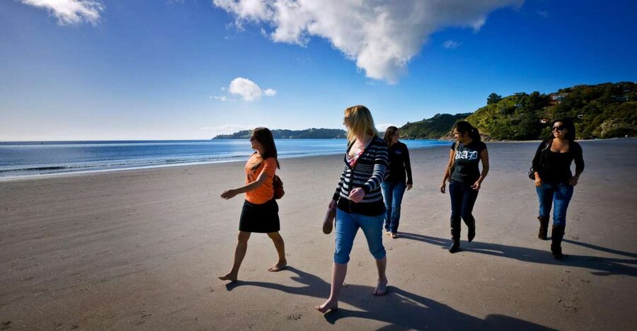 Waiheke Island: Ferry & Hop-On Hop-Off Explorer Bus Tickets - Allpress olive oil and tasting-style breaks