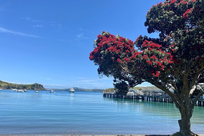 Waiheke Island Gourmet Food and Wine Tour - Getting to Matiatia and timing your day right