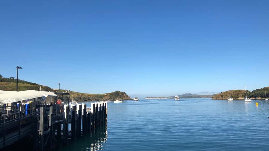 Waiheke Island Gourmet Food and Wine Tour with Lunch - All Press Olive Groves: Why Olive Oil Stops Are Worth Your Time