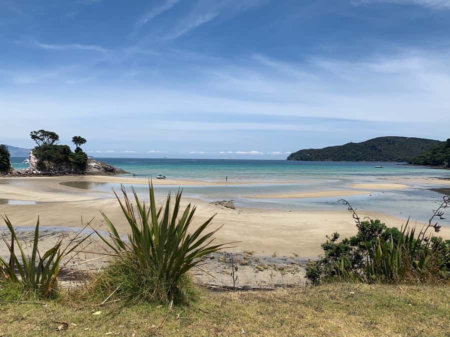 Waiheke Island: Gulf Marine Park Sailing Adventure & Lunch - Price and value: what $388 buys you