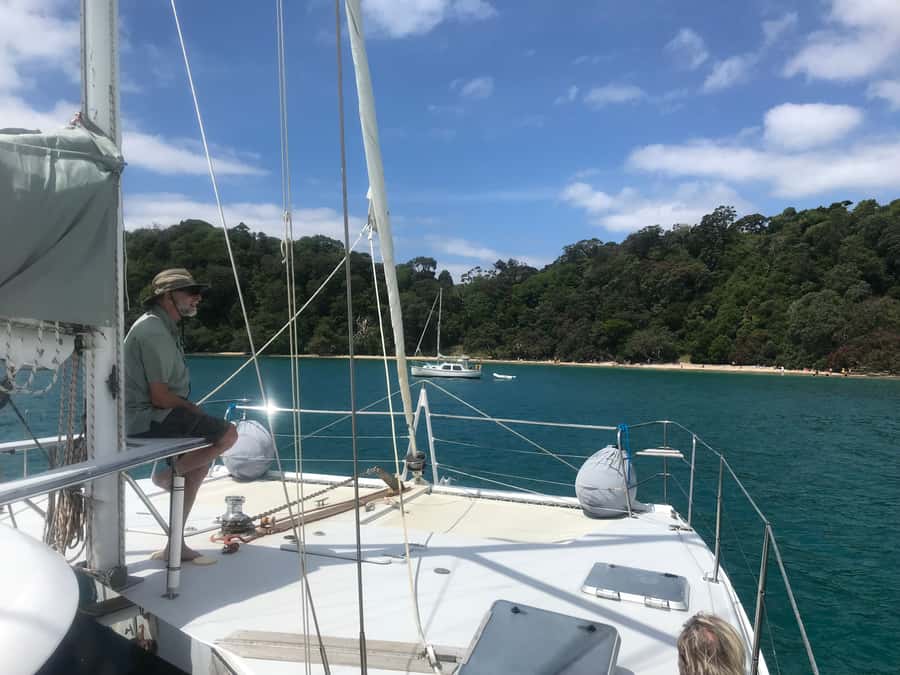 Waiheke Island: Gulf Marine Park Sailing Adventure & Lunch - The pest-free island walk: the part that turns scenery into meaning