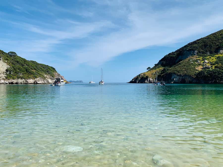 Waiheke Island: Gulf Marine Park Sailing Adventure & Lunch - Stand-up paddleboarding: the add-on that feels like a bonus