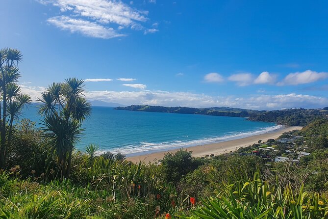 Waiheke Island Half Day Scenic Wine and Lunch - Entering Waiheke wine country in just four hours