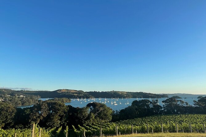 Waiheke Island Half Day Scenic Wine and Lunch - Mudbrick Vineyard: tasting with Auckland and the gulf in your view