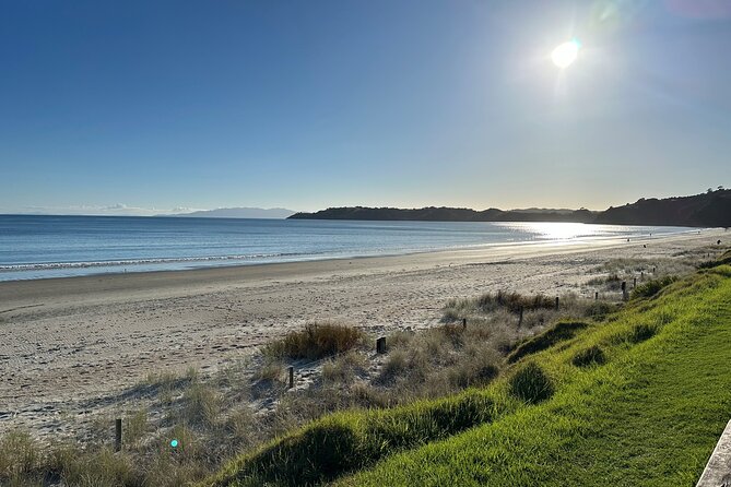 Waiheke Island Half Day Scenic Wine and Lunch - Onetangi Beach and Oneroa: a break from wine labels