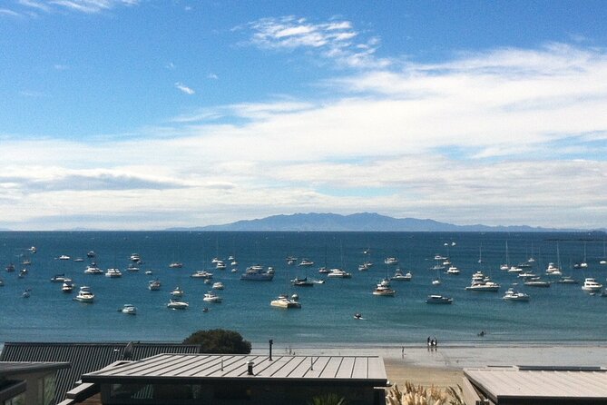 Waiheke Island Half Day Scenic Wine and Lunch - The value of a small group and a guide who speaks like an islander