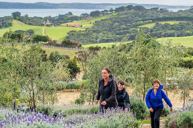 Waiheke Island History and Heritage Tour - Carving, Ta Moko, and Māori Language Revitalisation at the Heart of the Story