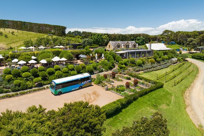 Waiheke Island Hop-On Hop-Off Explorer Bus - Stop-by-stop: from art in Mako Street to vineyard ends at Cable Bay