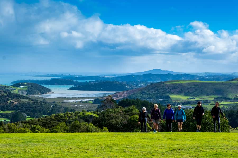 Waiheke Island: Premium Vineyard, Wine Tasting and Bush Walk - Key highlights at a glance