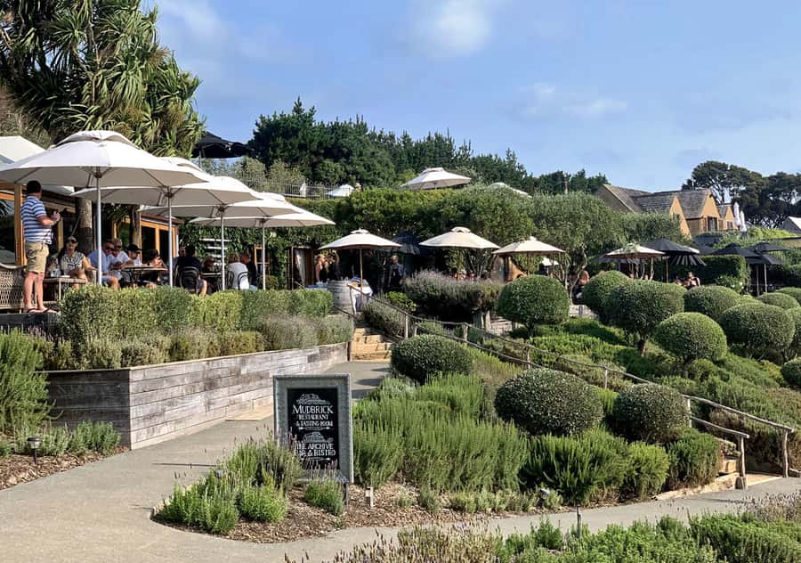 Waiheke Island: Premium Vineyard, Wine Tasting and Bush Walk - Cable Bay Vineyards tasting: comparing styles, not just repeating