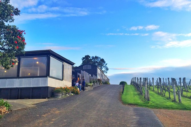 Waiheke Island Premium Wine Tour with Tastings - Key Things I’d Block Out on Your Calendar