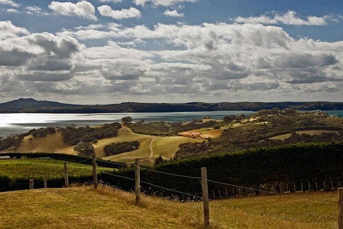 Waiheke Island Private Art Tour - What to bring for an all-weather Waiheke art day