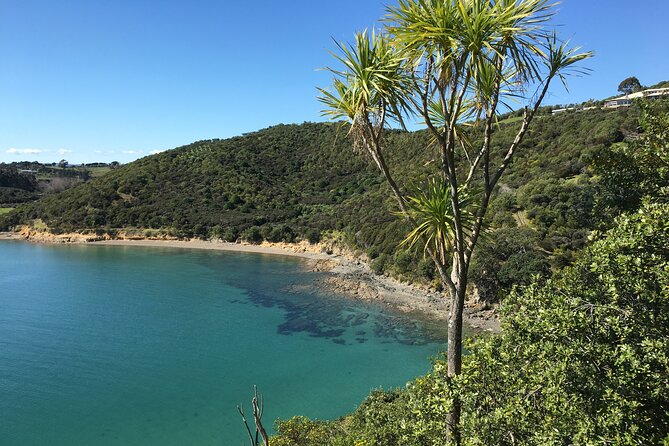 Waiheke Island Private Double Headland Walk - Fitness and comfort: what you should realistically prepare for