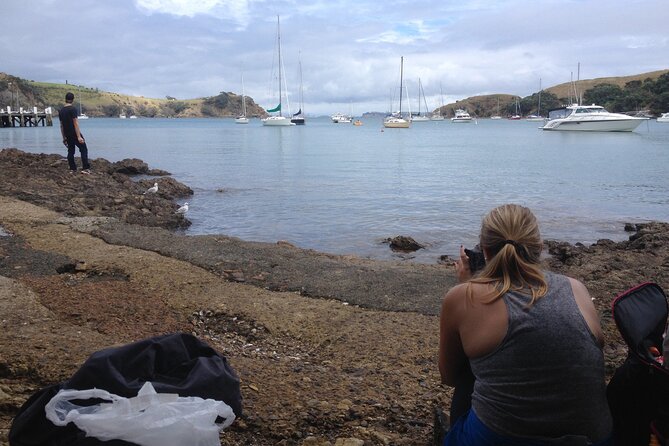 Waiheke Island Private Double Headland Walk - Where you start: Fullers360 Matiatia and the day’s flow