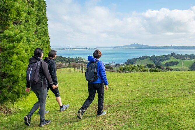 Waiheke Island Private History and Heritage Tour - Carving, Tattooing, and Māori Language Revitalisation (and What Might Be Missed)