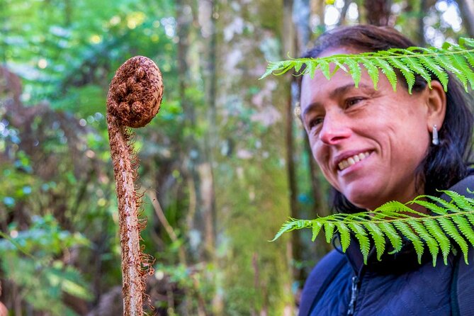 Waiheke Island Private History and Heritage Tour - Native Bush Walk: Medicinal Plants and Bird Calls on the Way to History
