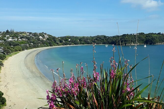Waiheke Island Private Tours - Why Briar’s Waiheke private tour feels different from the usual island day