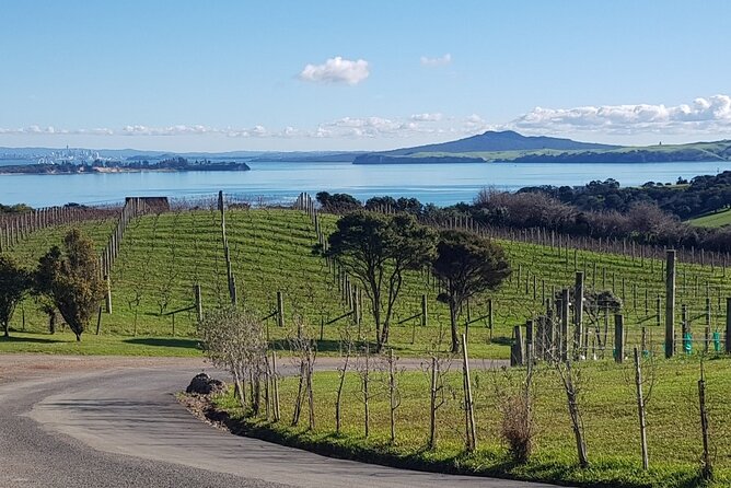 Waiheke Island Private Tours - Price and value: is $189.27 per person worth it?
