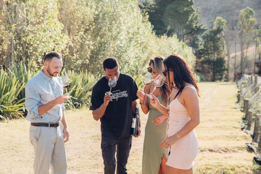 Waiheke Island: Scenic Island Wine Tour & Local Wine Tasting - The Big Picture: Why This Waiheke Wine Tour Works