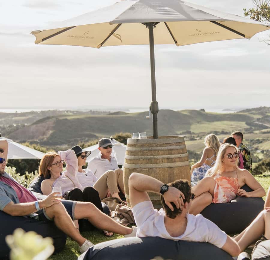 Waiheke Island: Scenic Island Wine Tour & Local Wine Tasting - Thomas Batch Vineyard: The 360-Degree View Moment