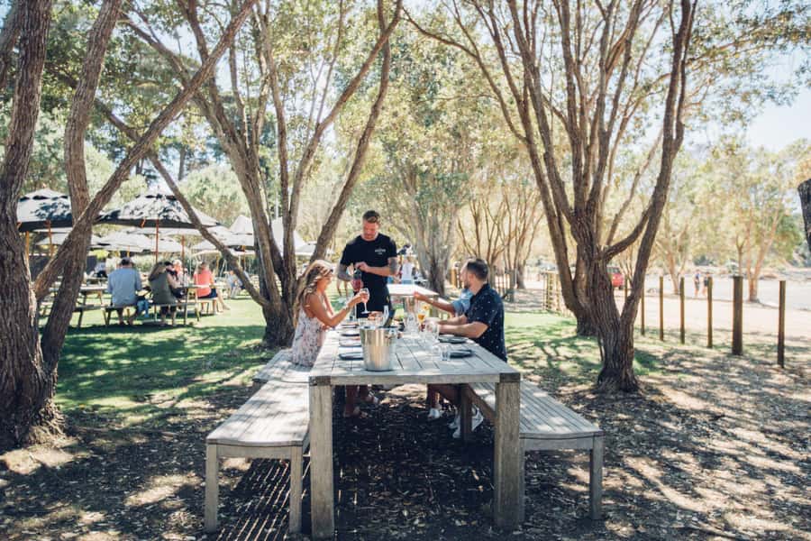 Waiheke Island: Scenic Island Wine Tour & Local Wine Tasting - Village Time and Coastal Stops: It’s Not Just Vineyards