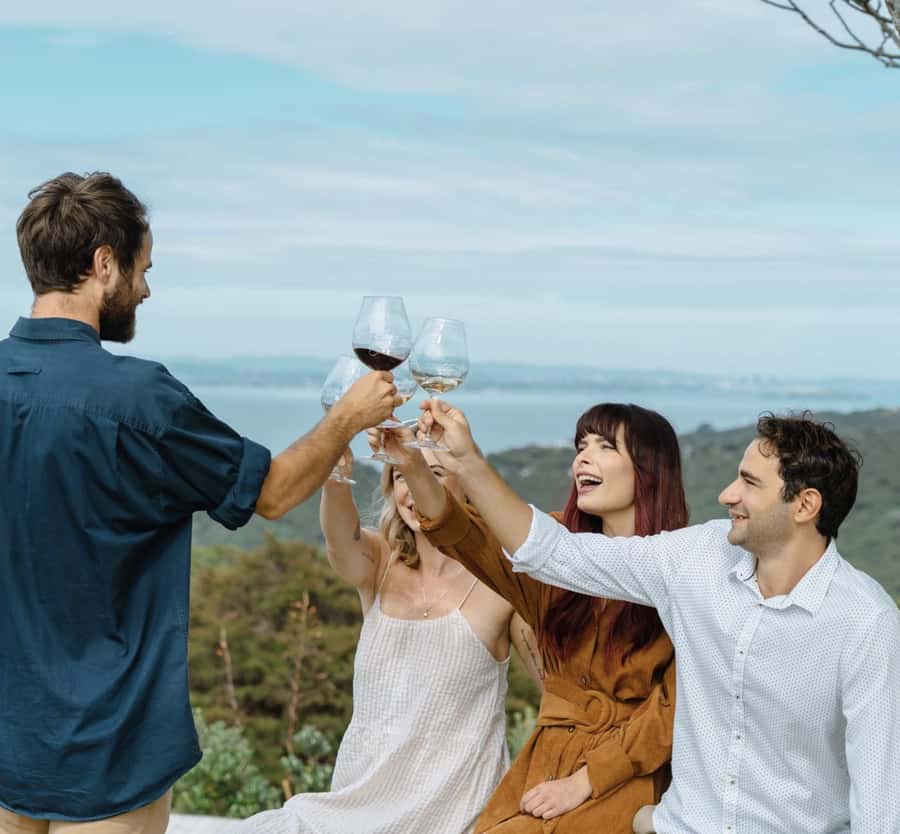 Waiheke Island: Scenic Island Wine Tour & Local Wine Tasting - Price and Value: Is $113 Worth It?