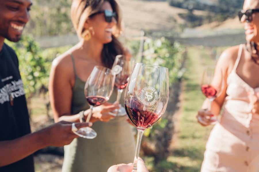 Waiheke Island: Scenic Island Wine Tour & Local Wine Tasting - From Matiatia Wharf to Your First Vineyard Stop (Start Smart)