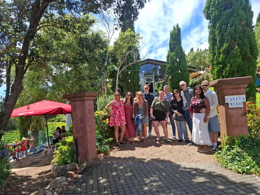 Waiheke Island: Sip and Savor 3 Vineyards Tour with Lunch - The small-group and VIP angle: why it feels smoother than DIY