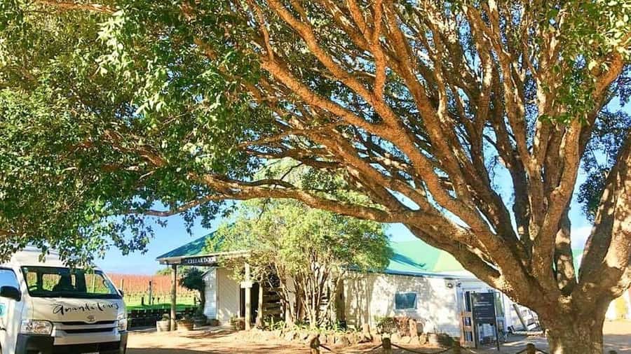 Waiheke Island: The Essence of Waiheke Wine Tour - Te Motu or Obsidian: your third stop, and how to make it count