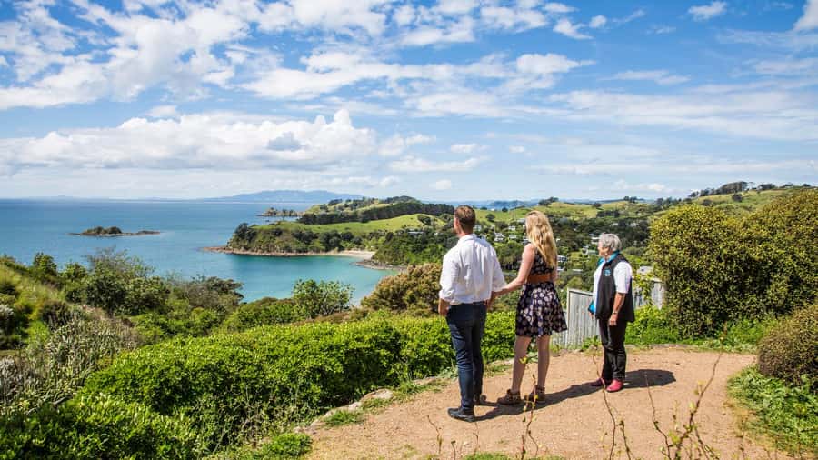 Waiheke Island: The Essence of Waiheke Wine Tour - Your local guide: why the best days feel personal