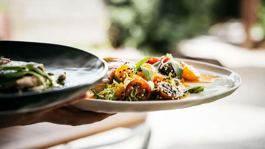 Waiheke Island: The Essence of Waiheke Wine Tour - Price and pacing: what you’re really paying for
