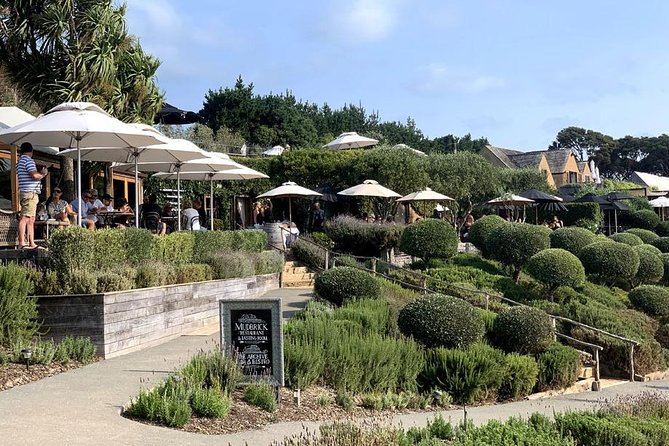 Waiheke Island Vineyards and Bush Walk - A half-day Waiheke hike that feels local