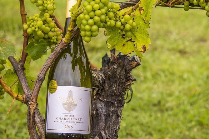 Waiheke Island Vineyards and Bush Walk - How hard is it, and what should you pack for all weather?