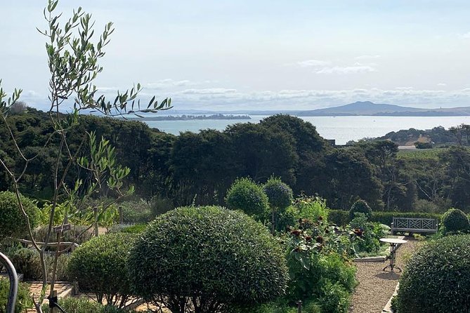 Waiheke Island Vineyards and Bush Walk - Where the walk starts and how the day flows