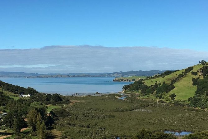 Waiheke Island Vineyards and Bush Walk - Who this tour suits best (and who might want a different plan)