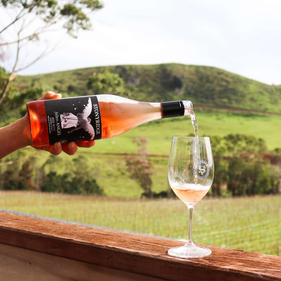 Waiheke Island: Wine Tour & Lunch at Award Winning Venue - The Big Picture: What This Waiheke Wine Day Really Delivers