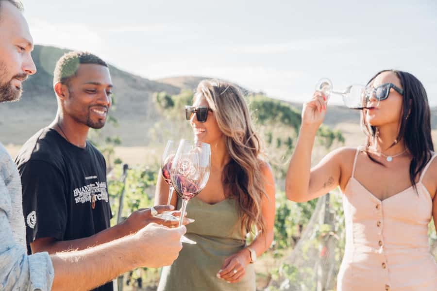 Waiheke Island: Wine Tour & Lunch at Award Winning Venue - Quick Hit Key Points