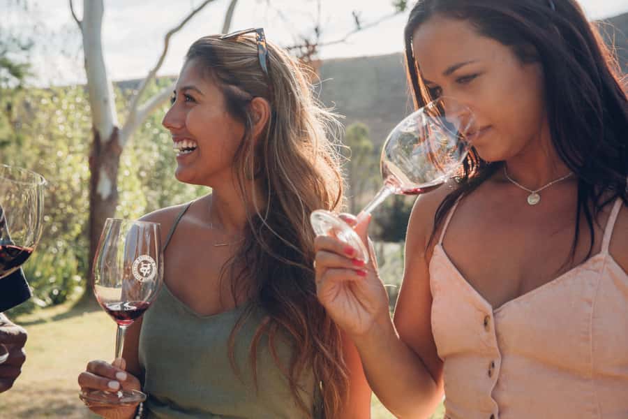Waiheke Island: Wine Tour & Lunch at Award Winning Venue - Timing, Weather, and What to Bring for a Smooth Day