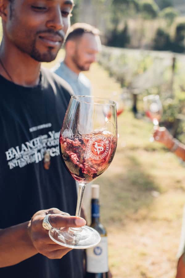 Waiheke Island: Wine Tour & Lunch at Award Winning Venue - Who Should Book This Waiheke Wine Tour (and Who Might Not)