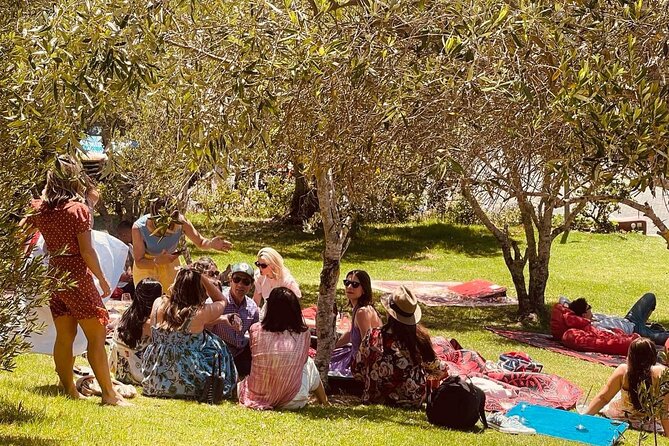 Waiheke Island Wine Tour with Tastings & Gourmet Beachfront Lunch - Why This Waiheke Wine Tour Works So Well for First-Timers