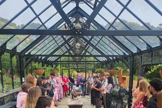 Waiheke Island Wine Tour with Tastings & Gourmet Beachfront Lunch - Timing and Logistics: The 5-Hour Flow Without the Headaches
