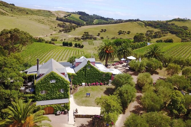 Waiheke Island Wine Tour with Tastings & Gourmet Beachfront Lunch - Stop 1 at Cable Bay Vineyards: Tastings That Set the Tone