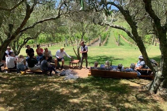 Waiheke Island Wine Tour with Tastings & Gourmet Beachfront Lunch - Lunch at Three Seven Two on Onetangi Beach: The Break That Makes It Feel Like a Treat