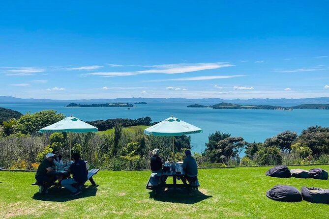 Waiheke Island Wine Tour with Tastings & Gourmet Beachfront Lunch - Guides, Group Size, and the Little Moments That Make It Memorable