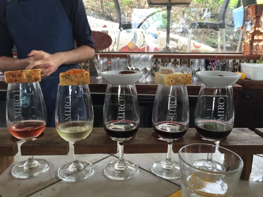 Waiheke Island Wine Tours - PREMIUM Wines - Max 11 clients ! - Key Things I’d Focus On Before You Book