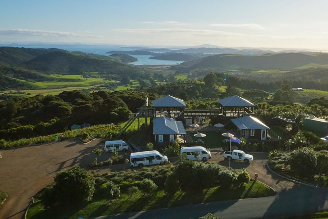 Waiheke Island: Zipline And Forest Walk - Trig Hill and the minivan intro: why the setup matters