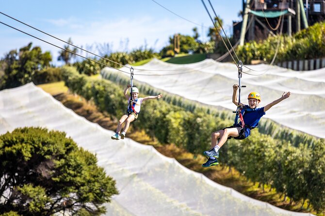 Waiheke Island: Zipline And Forest Walk - The forest walk back: gentle pace, then an uphill reminder